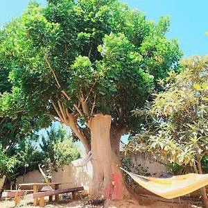 Casa Dada Casa vacanze